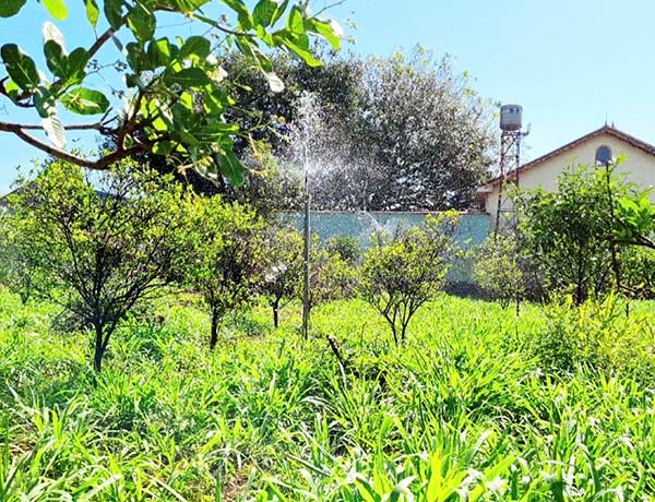 bom-nuoc-tu-gieng-len-bec