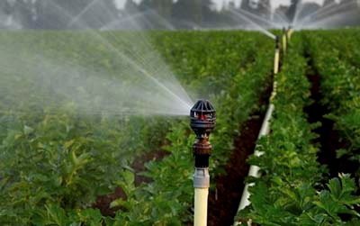 bom-nuoc-tu-gieng-len-bec1