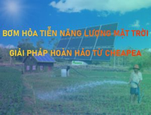 banner-bom-hoa-tien-nang-luong-mat-troi