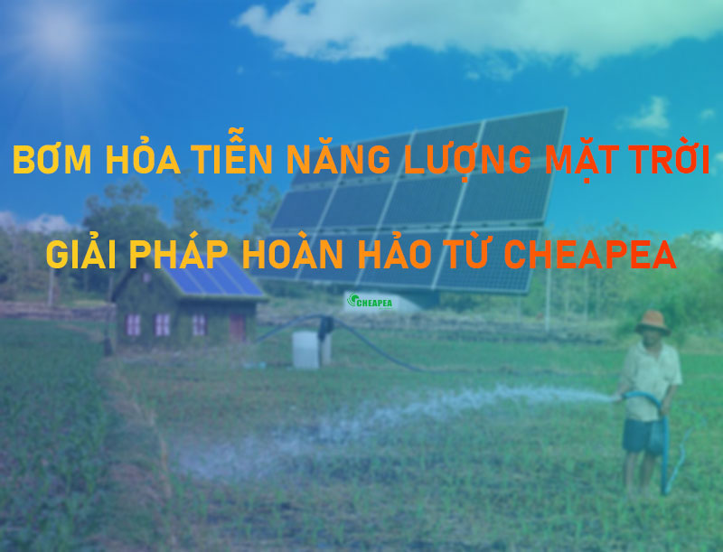 banner-bom-hoa-tien-nang-luong-mat-troi