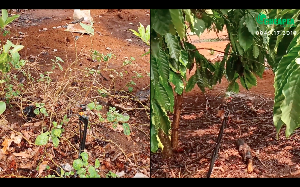 bom-nlmt-3-hp-anh-thi-4