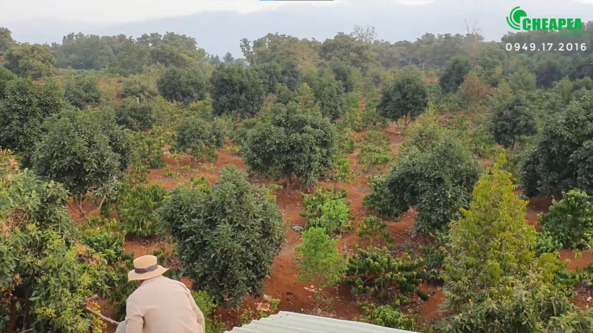 bom-nlmt-3-hp-anh-thi