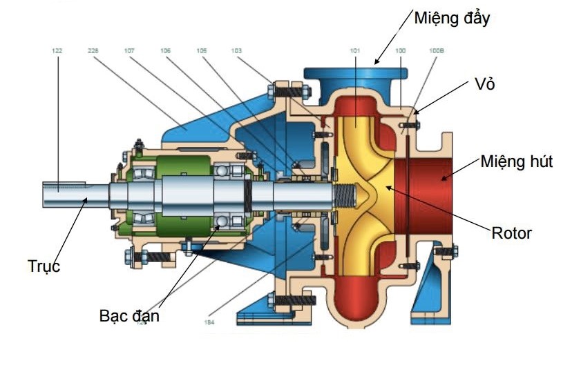 cau-tao-may-bom-0.5-ngua