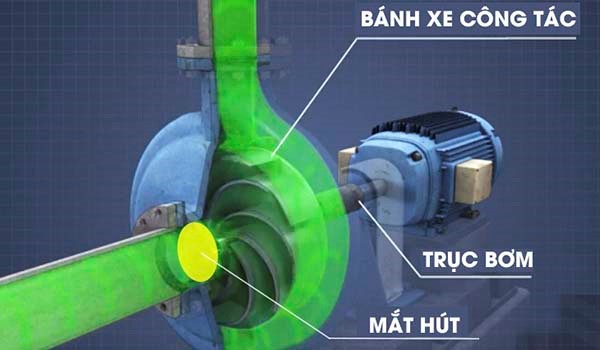 cau-tao-may-bom-0.5-ngua1