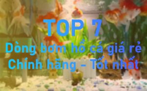 may-bom-ho-ca-gia-re