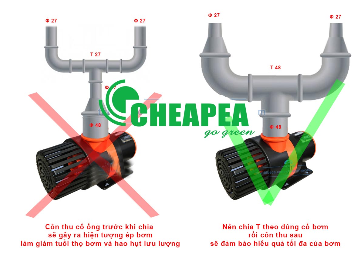 cach-di-ong-may-bom-ho-koi-periha-pb
