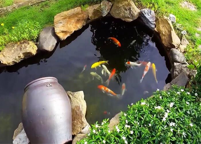 may-bom-periha-ho-ca