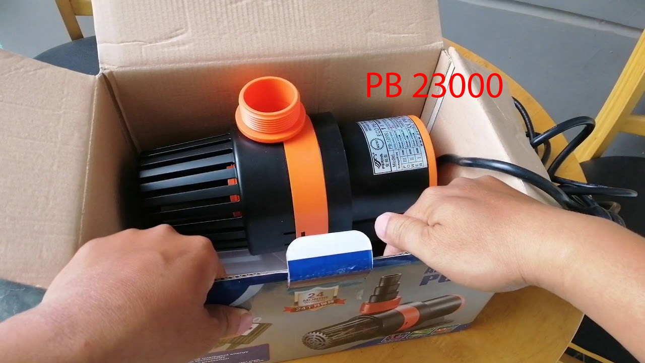 ve-sinh-may-bom-ho-koi-periha-pb