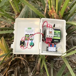 2021_02_26_15_50_img_4861