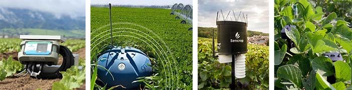 he-thong-tuoi-cay-thong-minh-1