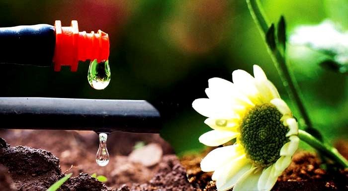 he-thong-tuoi-cay-thong-minh-8