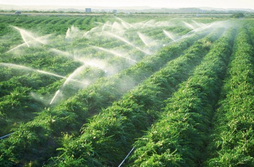 may-bom-tuoi-nho-giot-1