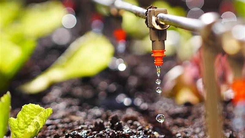 may-bom-tuoi-nho-giot-4