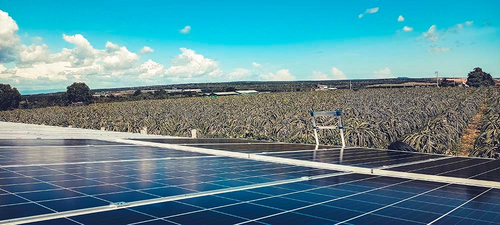 may-bom-tuoi-nho-giot-8