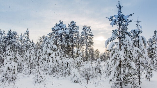 camera-nang-luong-mat-troi-4g-hikvision-5