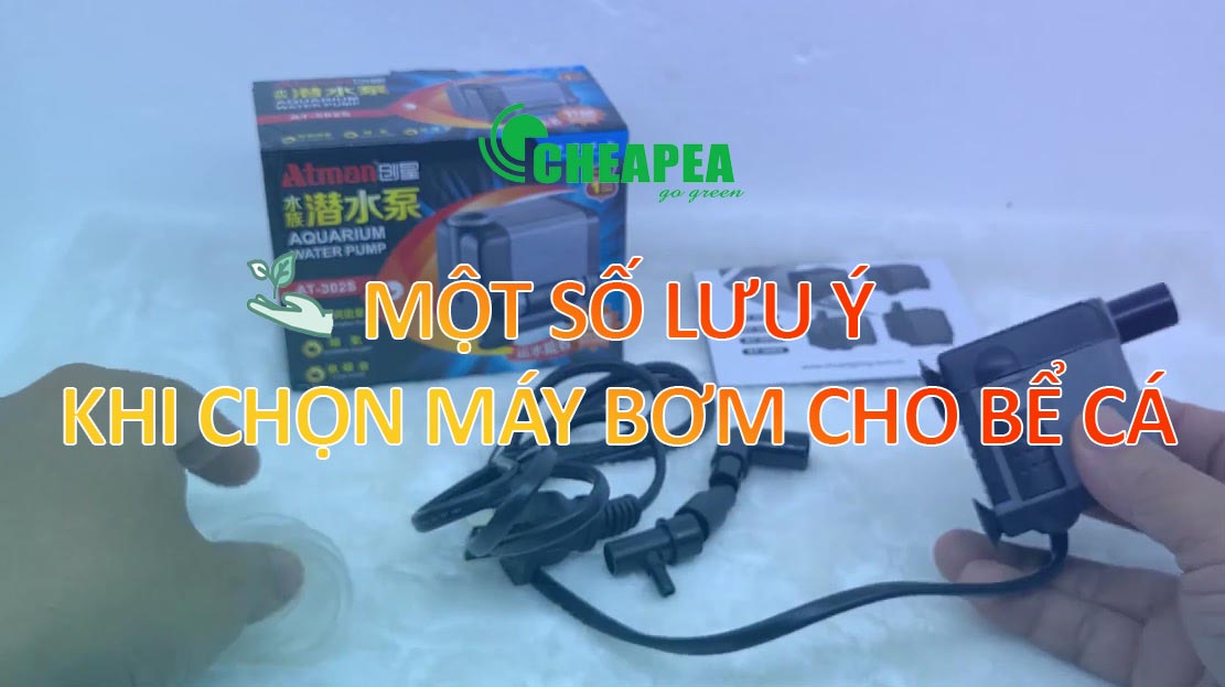 luu-y-khi-chon-bom-be-ca