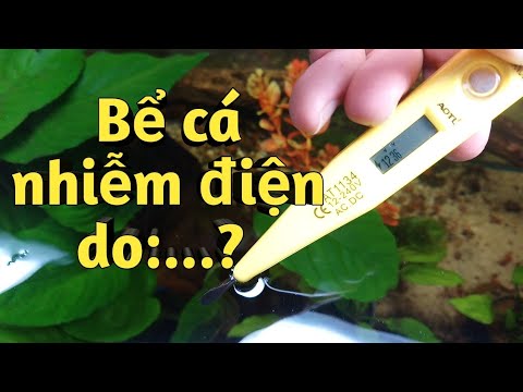 may-bom-ho-ca-ro-dien