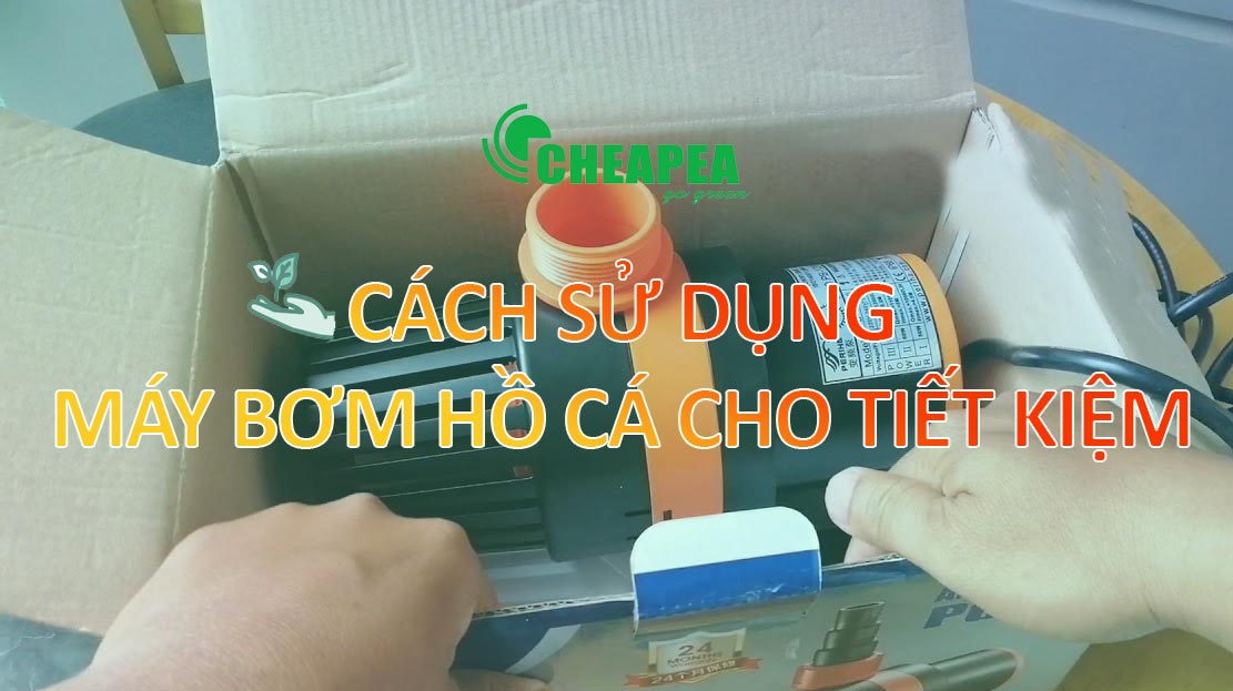 may-bom-ho-ca-tiet-kiem-dien