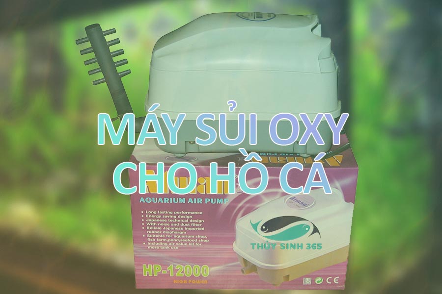 may-sui-oxy-atman-hp-4000-hp-8000-hp-12000