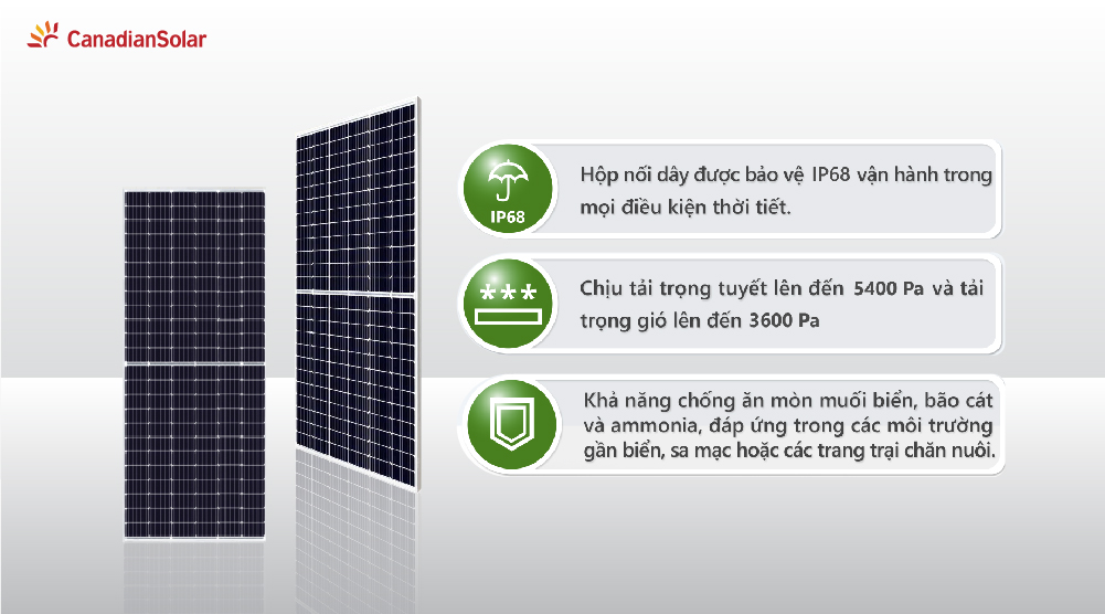 tam-pin-canadian-solar-mono