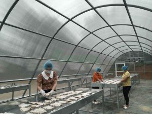 say-kho-bang-nang-luong-mat-troi