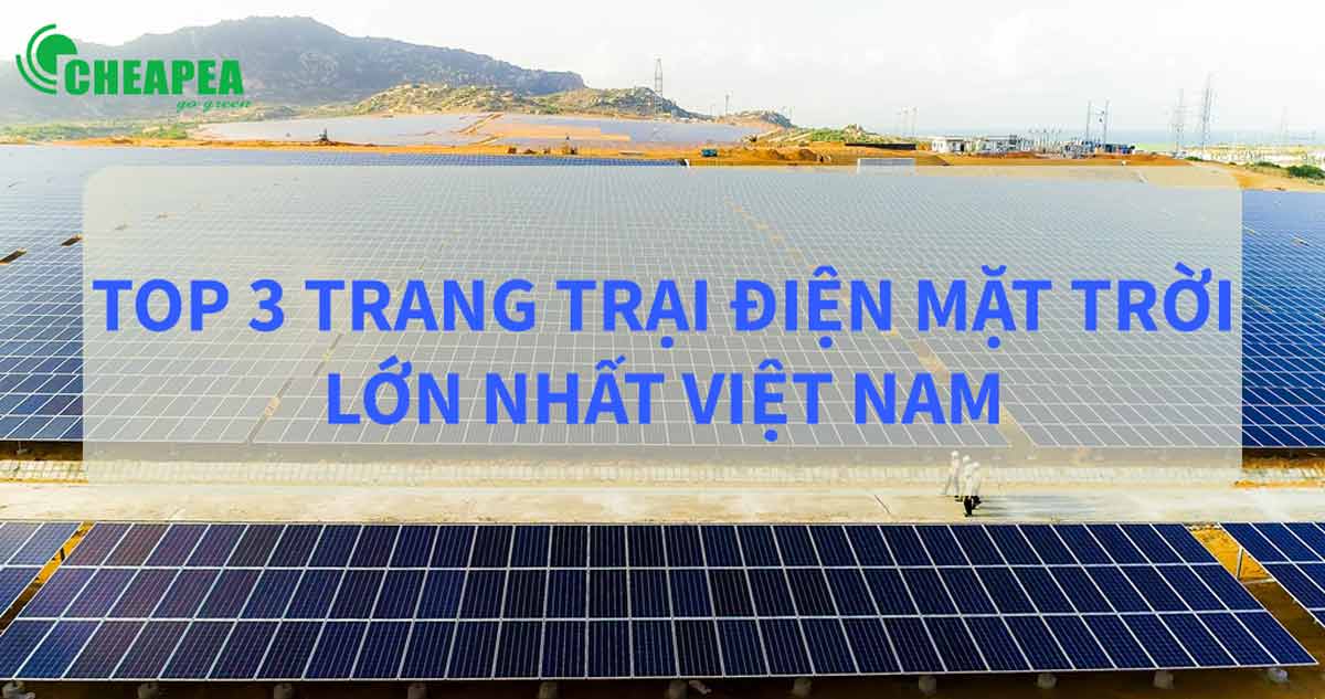 trang-trai-dien-mat-troi