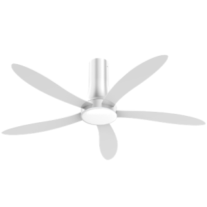 quat-tran-city-a05-trang