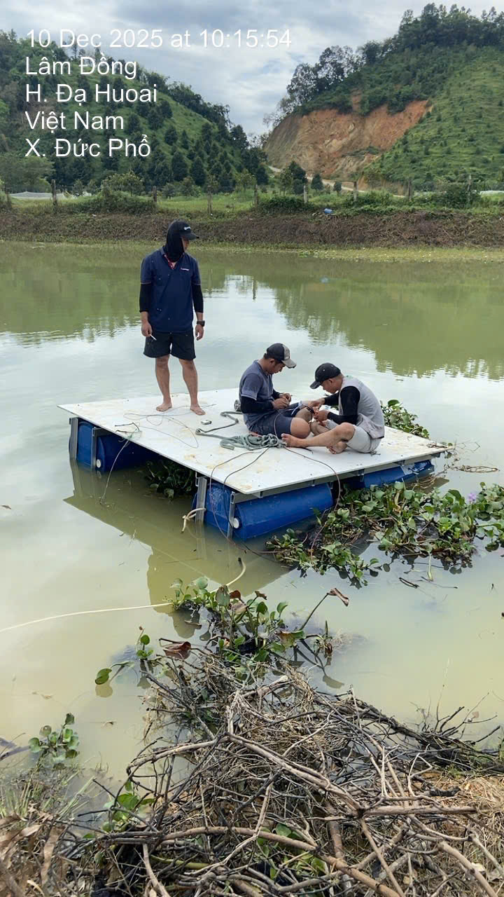 z7315045124838_cd2caaa6f238bea69f8b8eb253994d1e