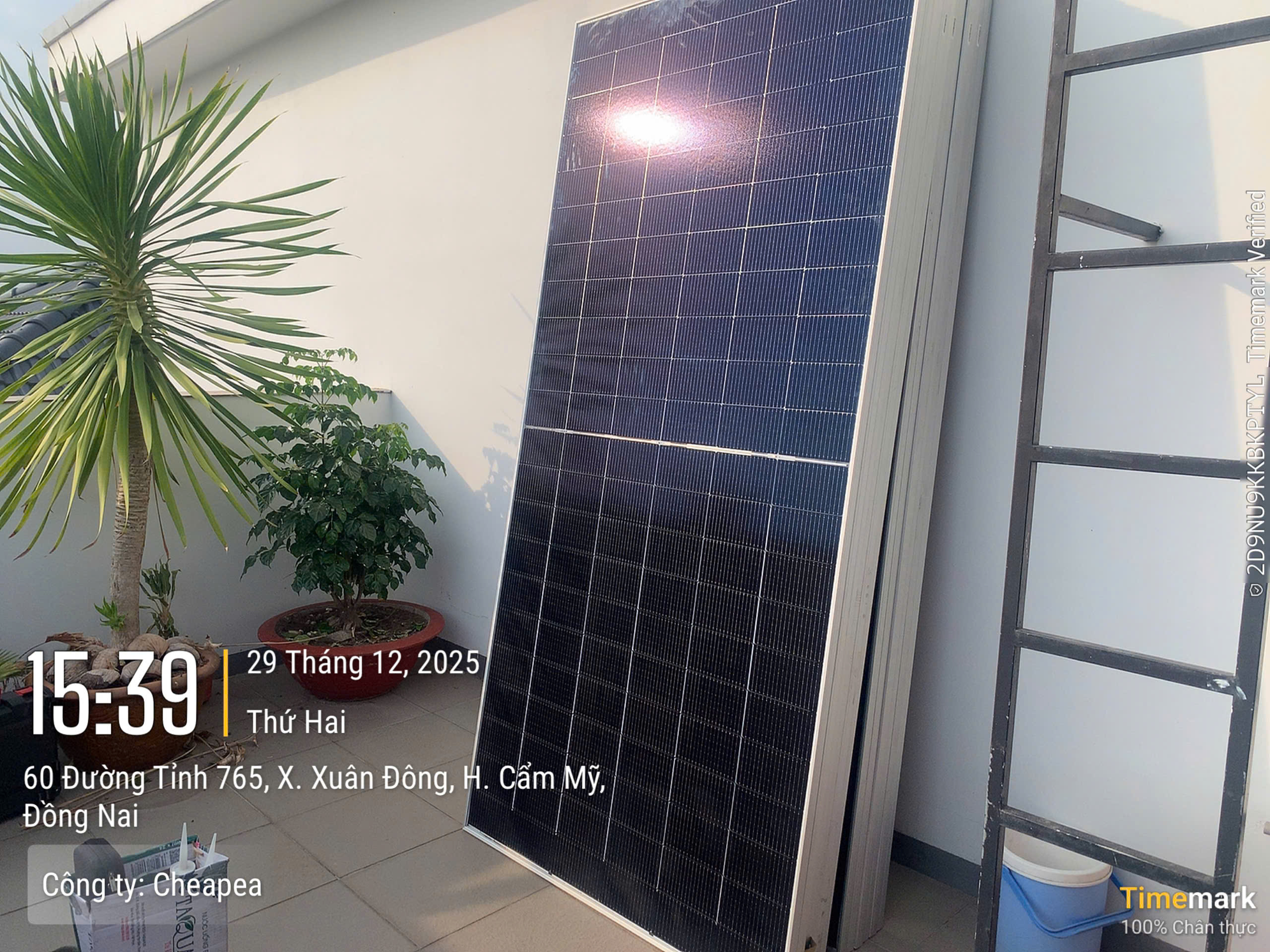 z7377688615957_8c39335a3e27d2404449cc5d0c3b3a38