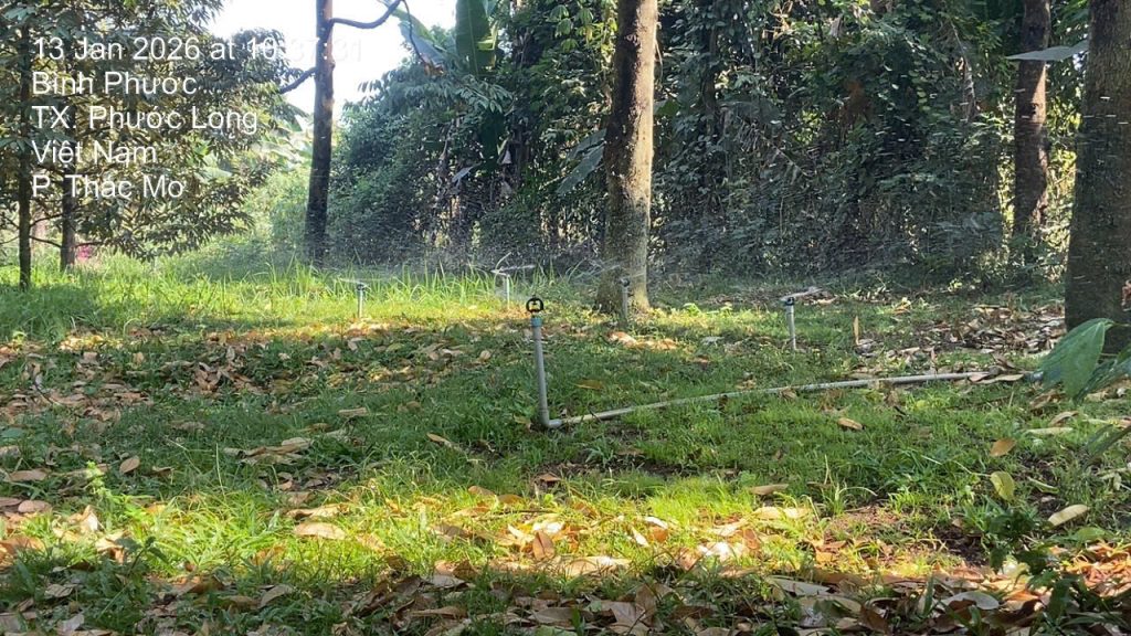 z7425819855381_1bc051a18db9fb385a7c4edd84ff71a7