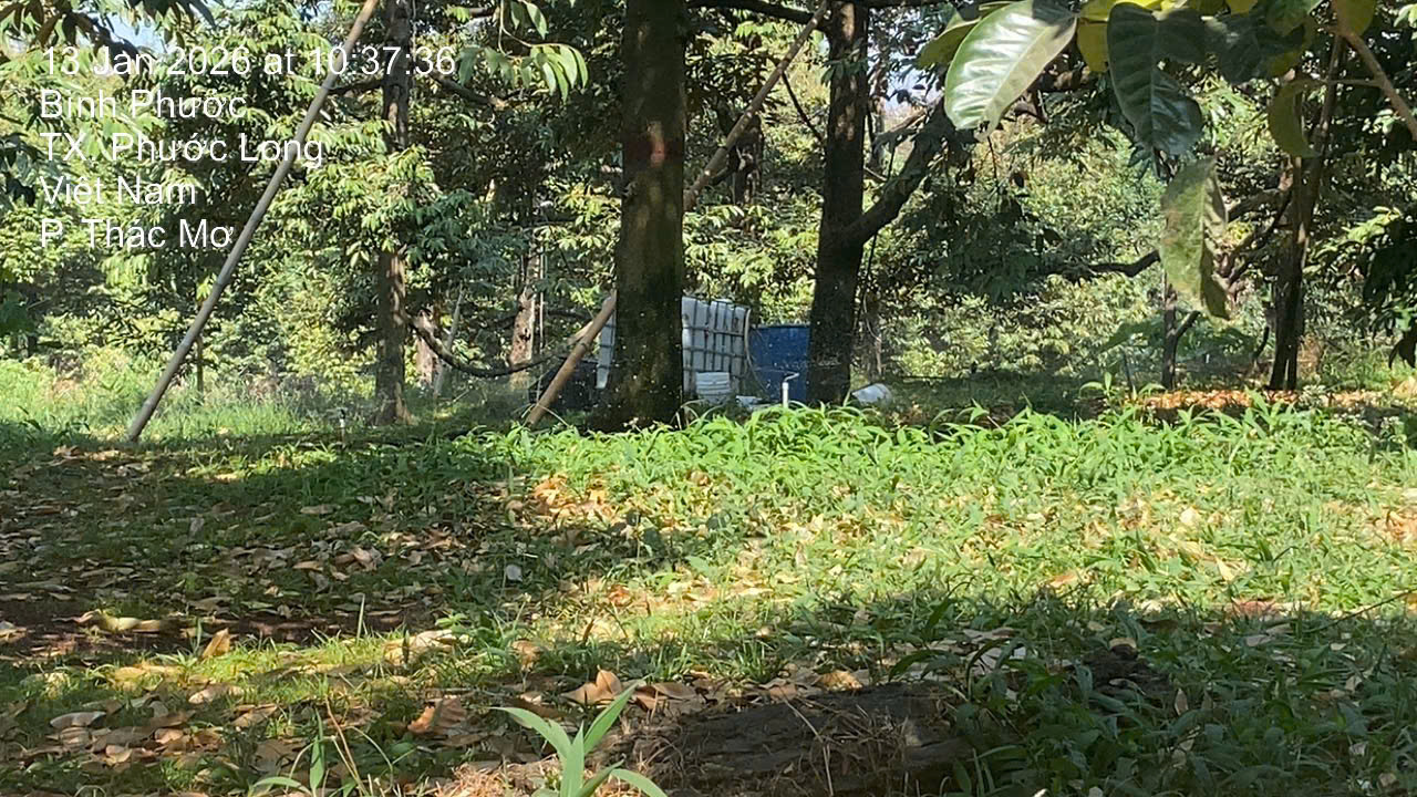 z7425819879282_771fc02a19b4cacecfc8a198ca2693d3