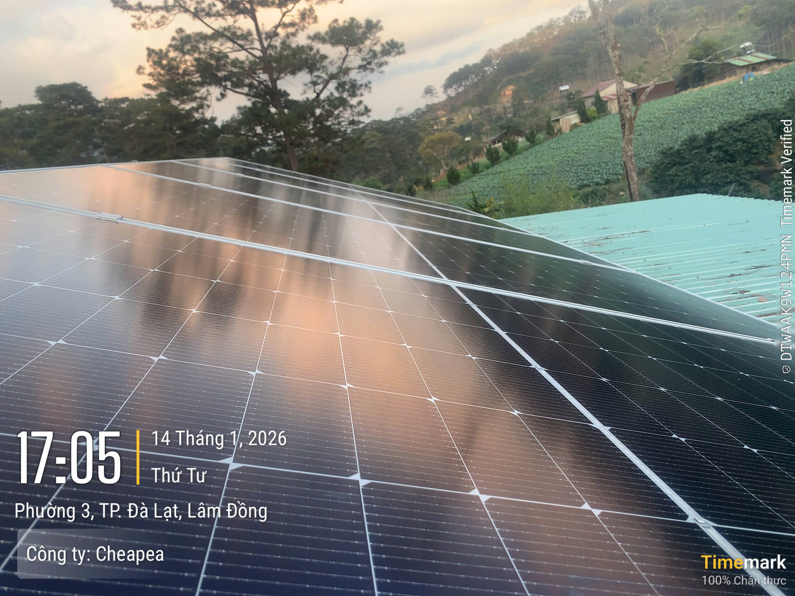 z7430719704538_19685102f39cbde0e64eb342017f8860