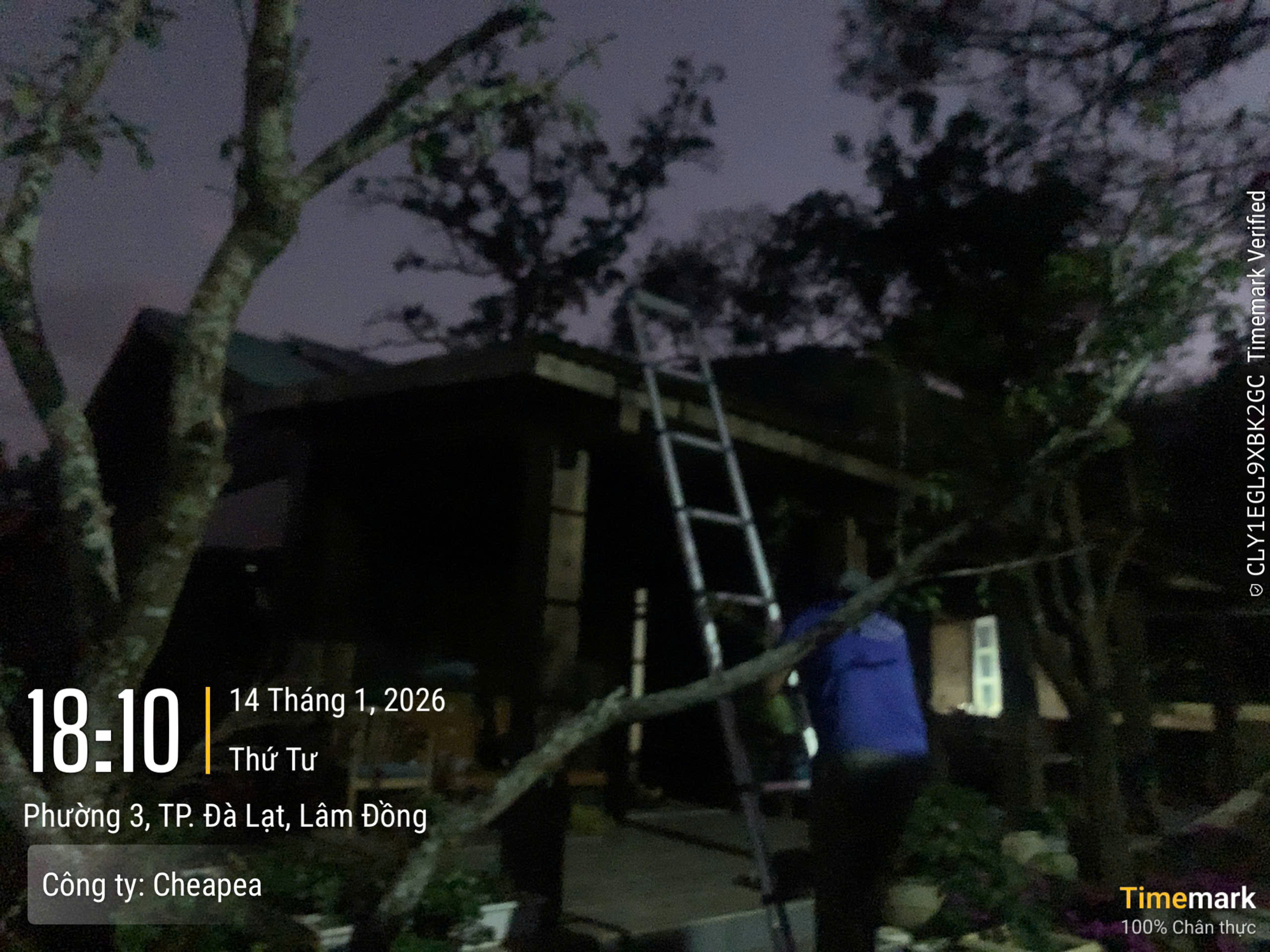 z7430719885476_9b1af8365ff969a356fdb66e1a23e6ee