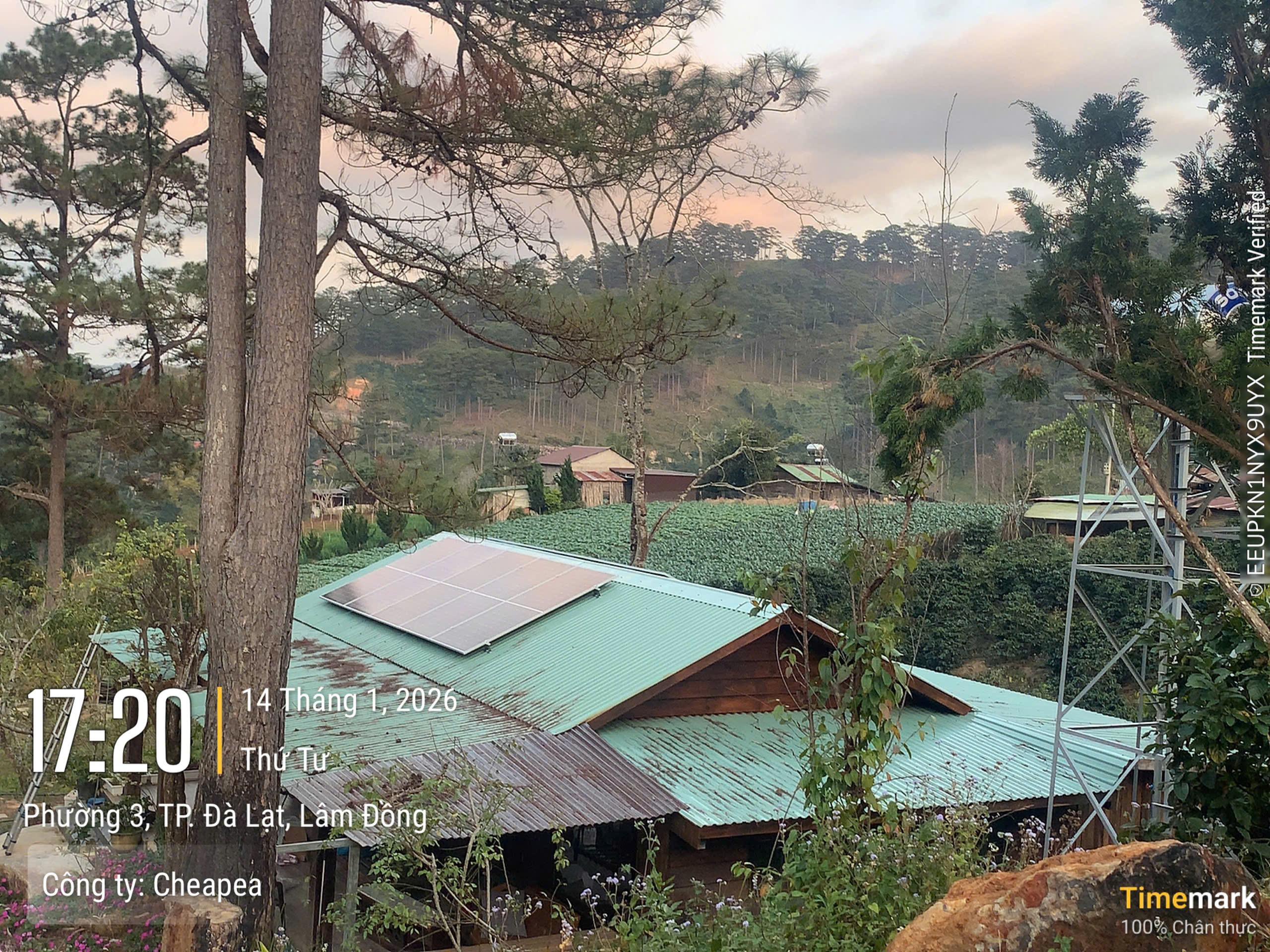 z7430719976380_53e57fe6bd450ac2a09173caf94eec05