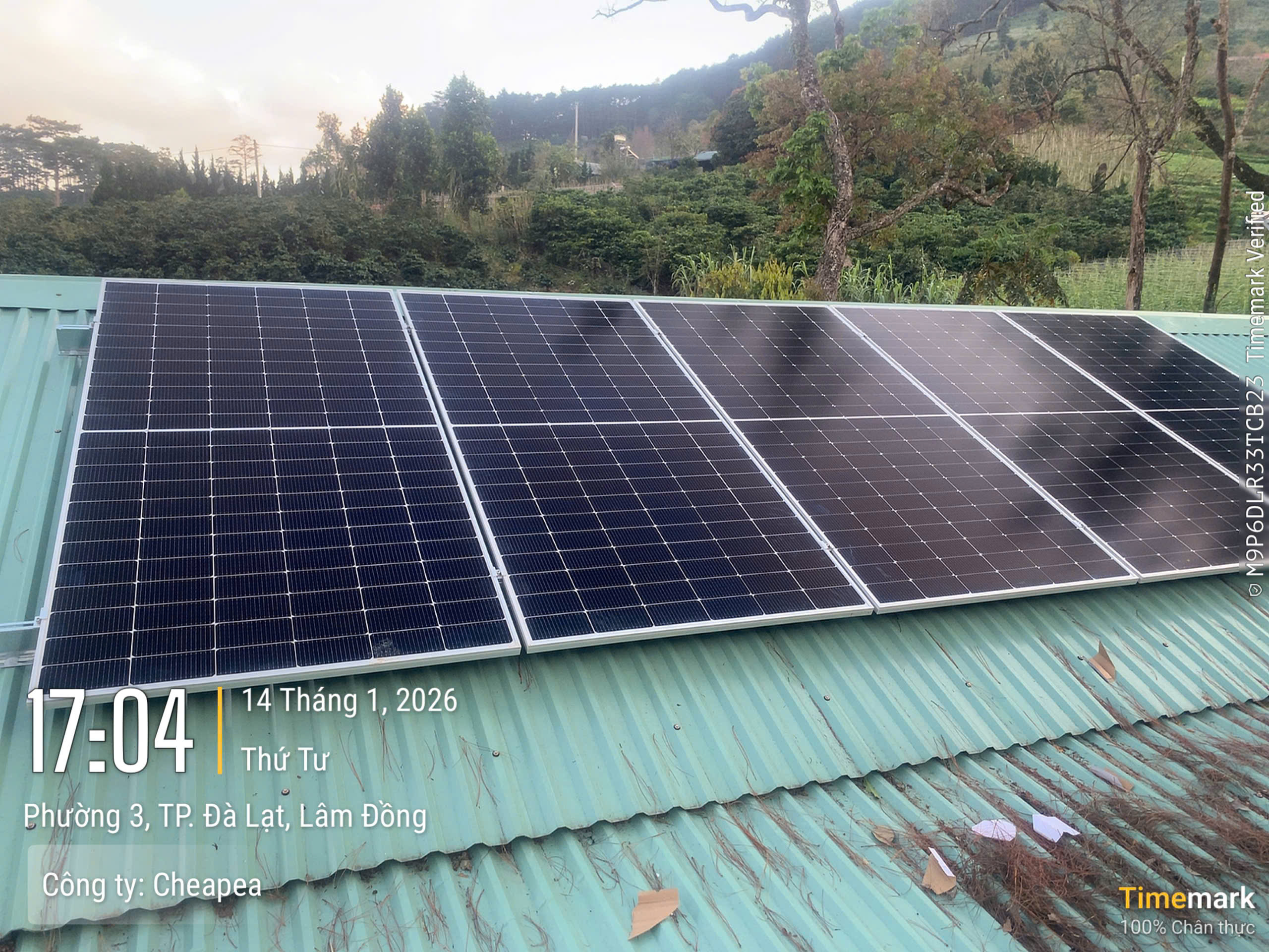 z7430720054461_5754996ab55426d85622b0d84328838e